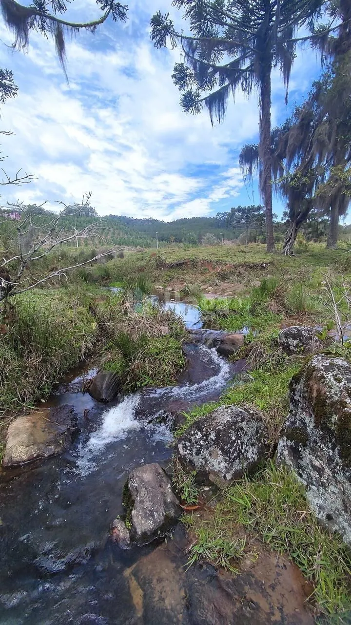 Farm for sale of 185 acres in Major Gercino, SC, Brazil