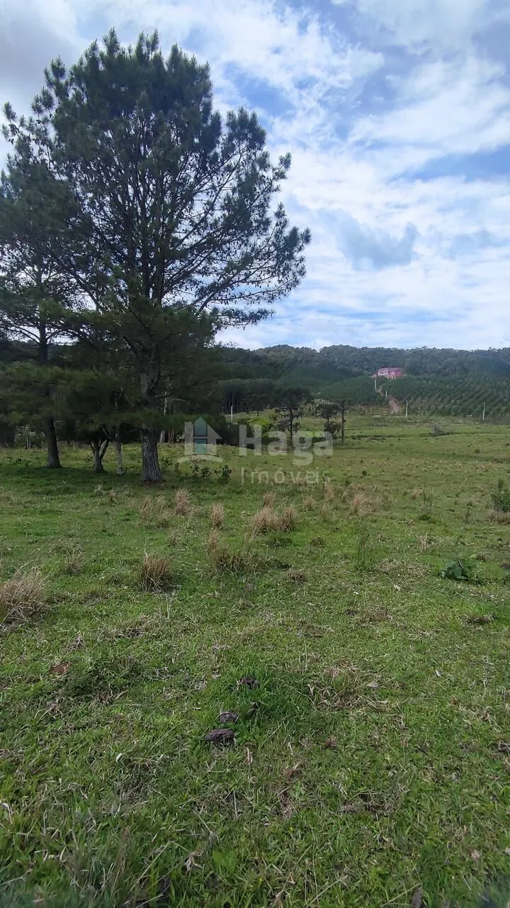 Farm for sale of 185 acres in Major Gercino, SC, Brazil