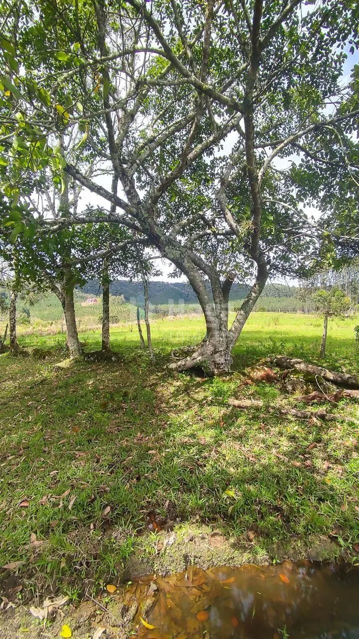 Farm for sale of 185 acres in Major Gercino, SC, Brazil