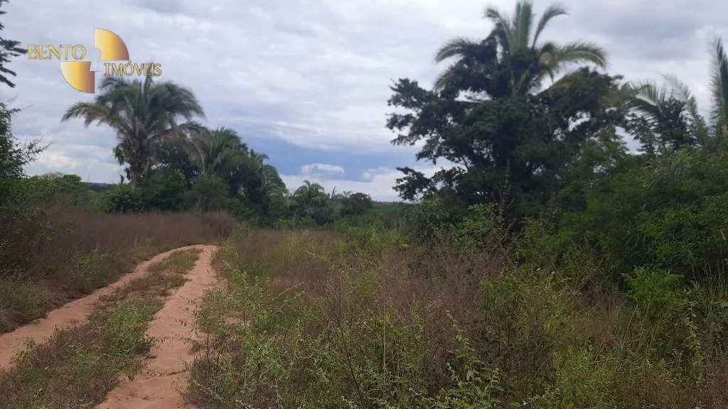 Fazenda à venda de 1.000 ha em Chapada dos Guimarães, MT, Brasil