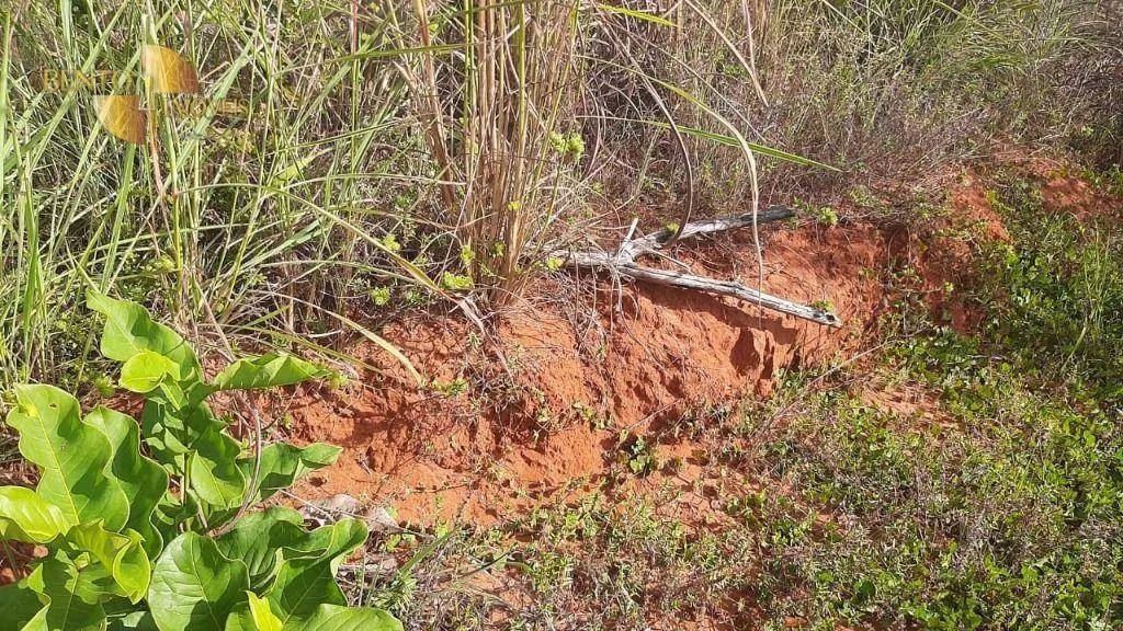 Fazenda à venda de 1.000 ha em Chapada dos Guimarães, MT, Brasil