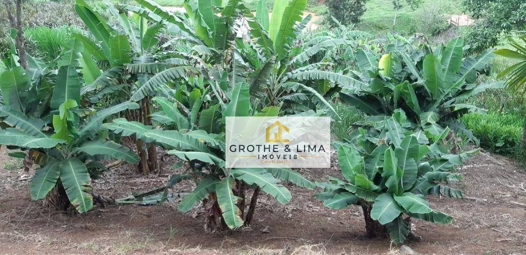 Fazenda à venda de 266 ha em Jacareí, SP, Brasil