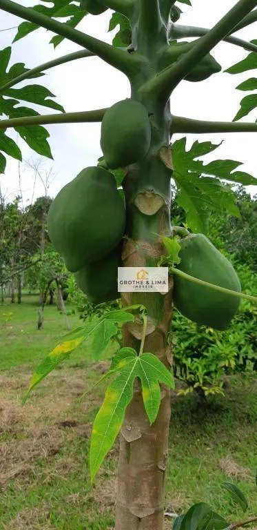 Fazenda à venda de 266 ha em Jacareí, SP, Brasil