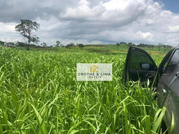 Farm for sale of 2,703 acres in Araguaína, TO, Brazil