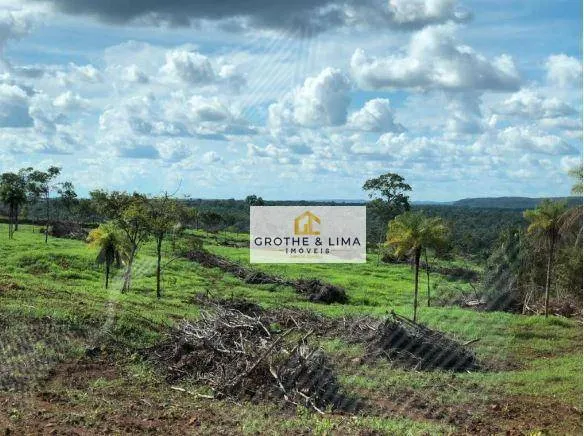 Farm for sale of 2,703 acres in Araguaína, TO, Brazil