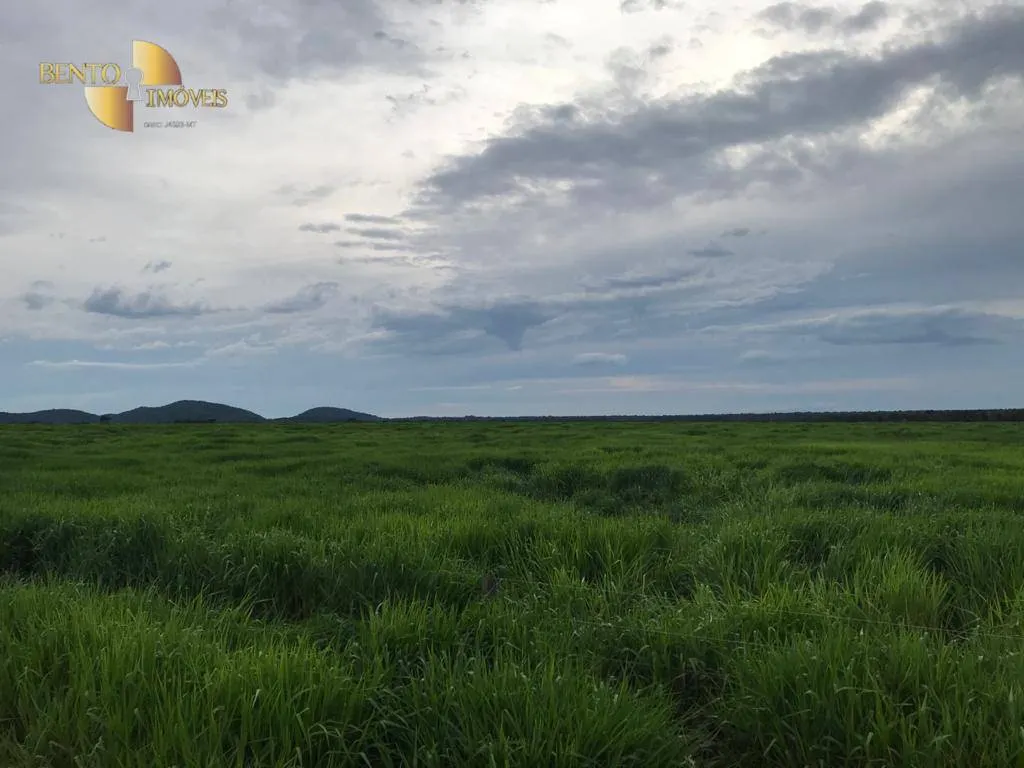 Fazenda à venda de 20.303 ha em Vila Rica, MT, Brasil