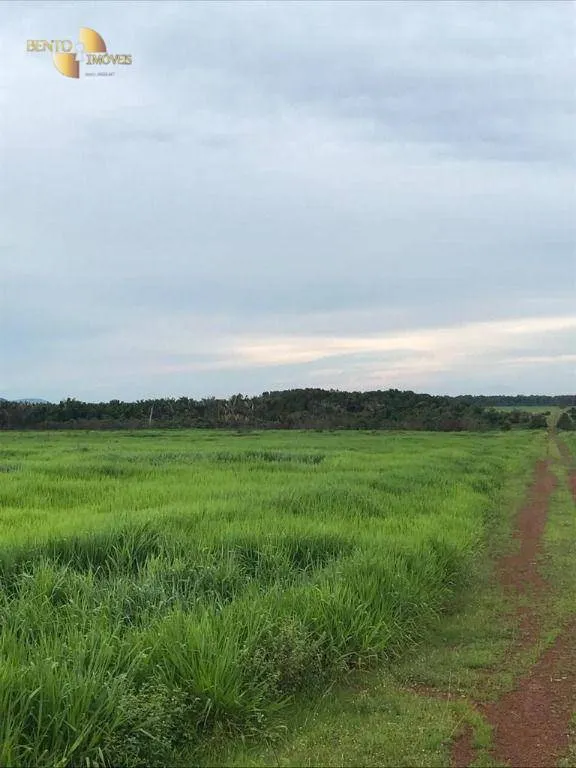 Fazenda à venda de 20.303 ha em Vila Rica, MT, Brasil