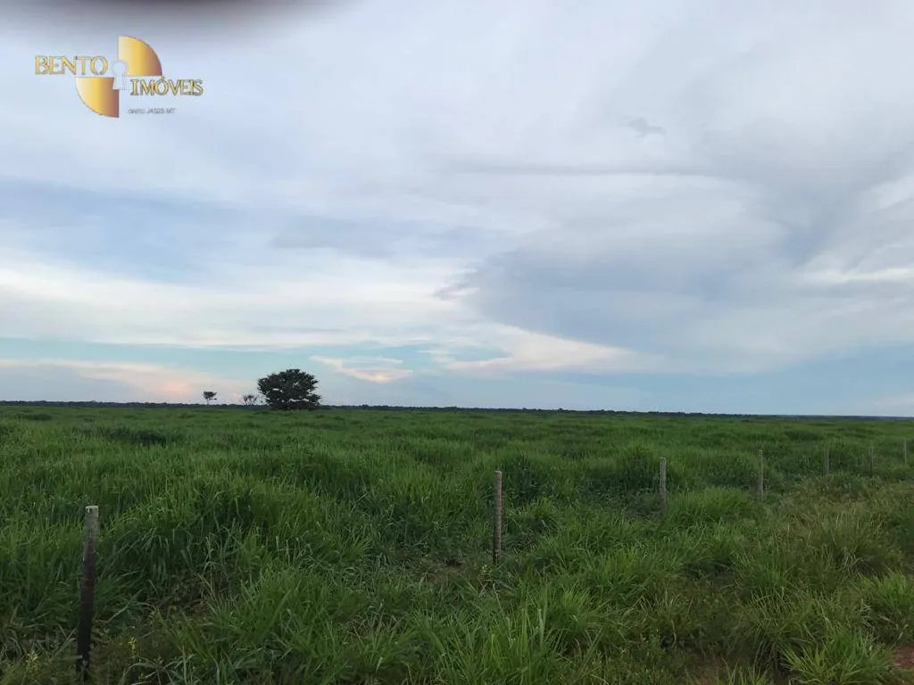 Fazenda à venda de 20.303 ha em Vila Rica, MT, Brasil