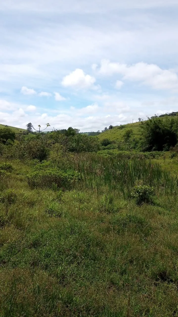Small farm for sale of 30 acres in São José dos Campos, SP, Brazil