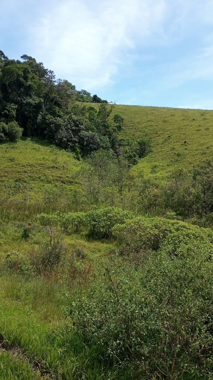 Small farm for sale of 30 acres in São José dos Campos, SP, Brazil