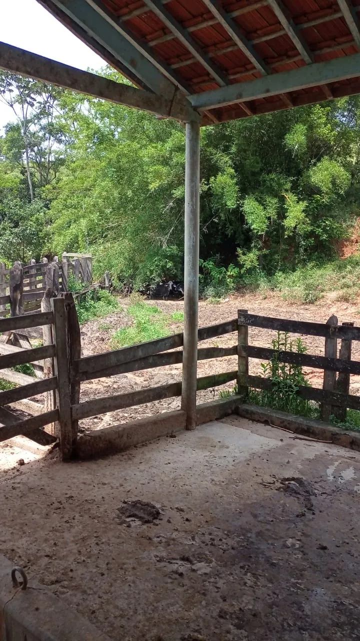 Small farm for sale of 30 acres in São José dos Campos, SP, Brazil