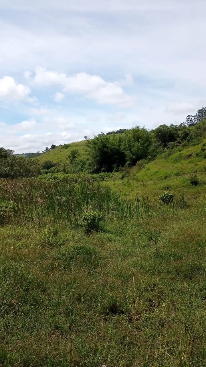 Small farm for sale of 30 acres in São José dos Campos, SP, Brazil