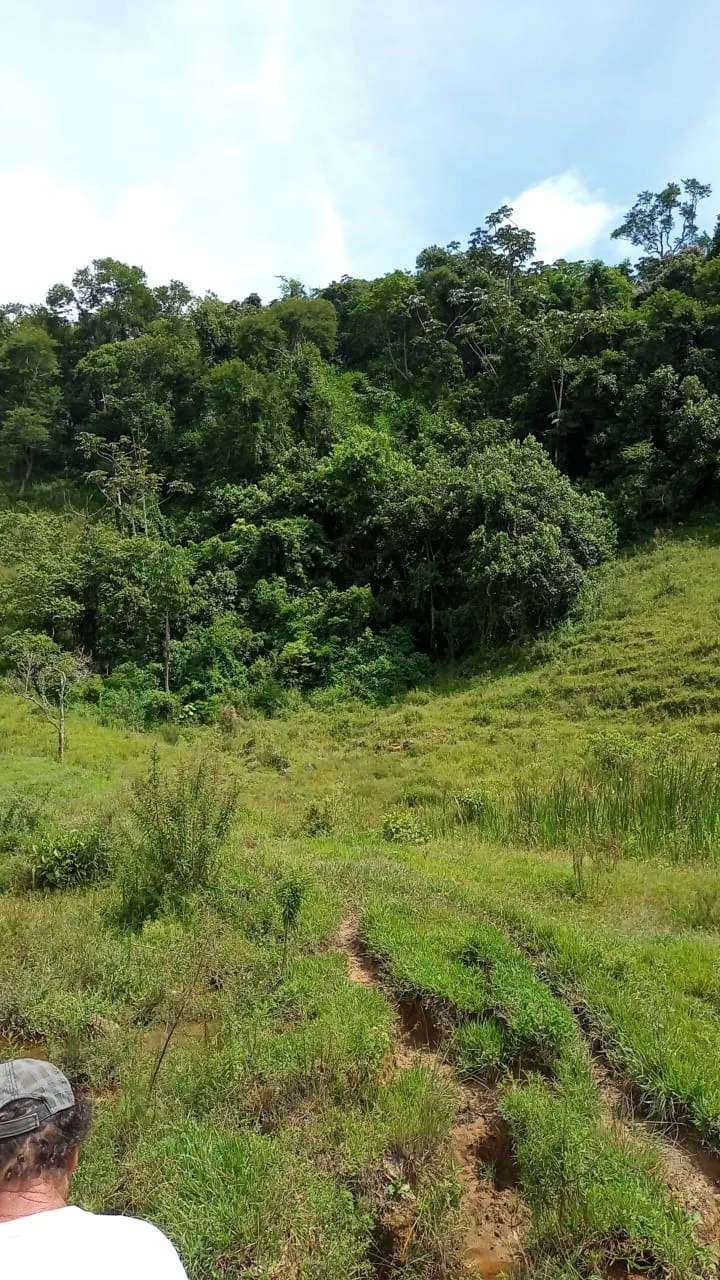 Small farm for sale of 30 acres in São José dos Campos, SP, Brazil