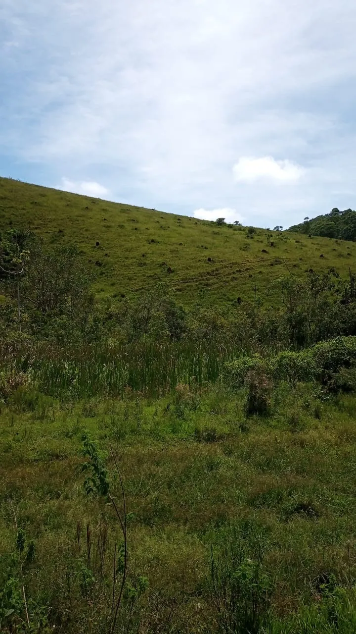 Small farm for sale of 30 acres in São José dos Campos, SP, Brazil