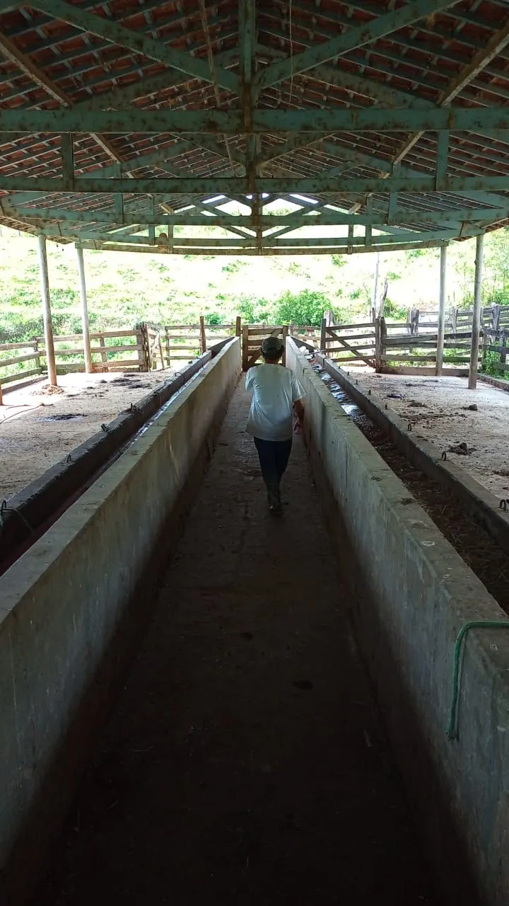 Small farm for sale of 30 acres in São José dos Campos, SP, Brazil