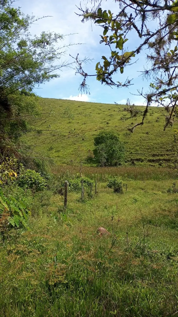 Small farm for sale of 30 acres in São José dos Campos, SP, Brazil