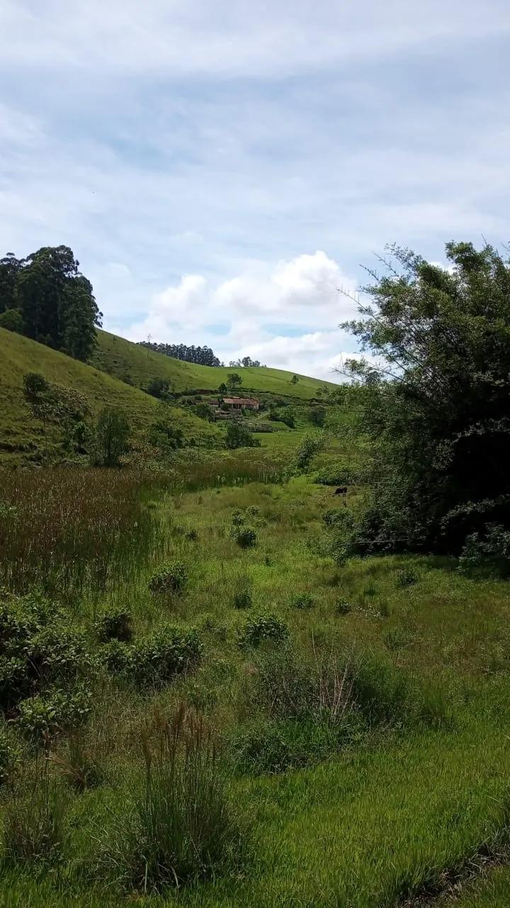 Small farm for sale of 30 acres in São José dos Campos, SP, Brazil