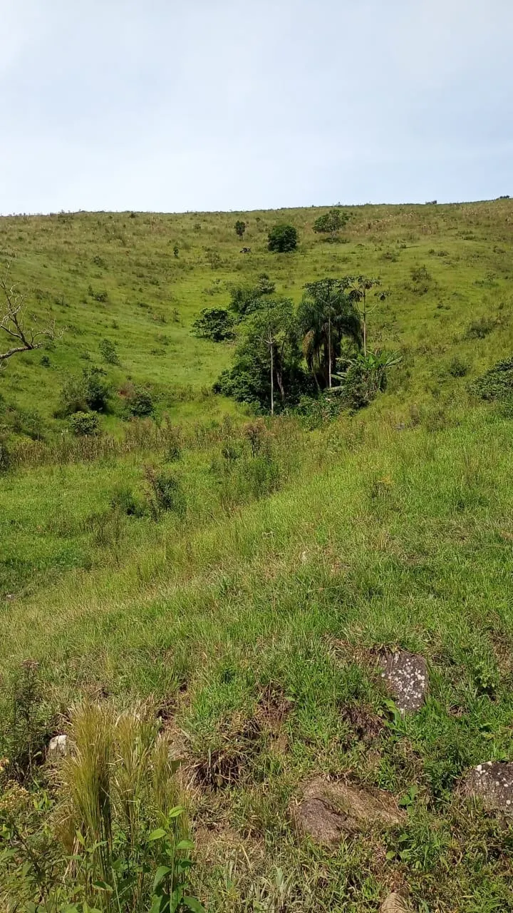 Small farm for sale of 30 acres in São José dos Campos, SP, Brazil