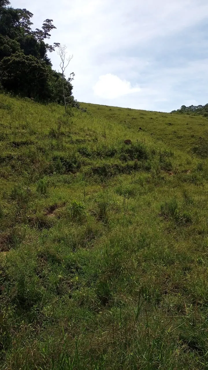 Small farm for sale of 30 acres in São José dos Campos, SP, Brazil