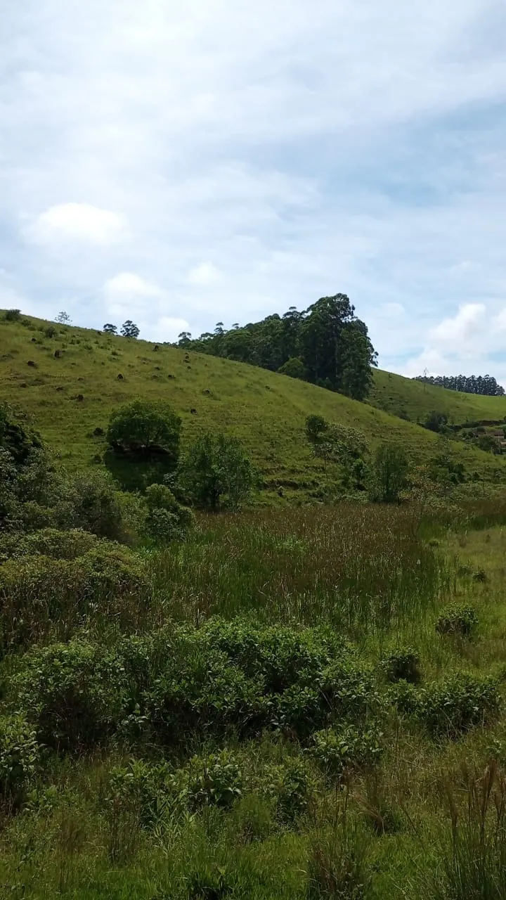 Small farm for sale of 30 acres in São José dos Campos, SP, Brazil