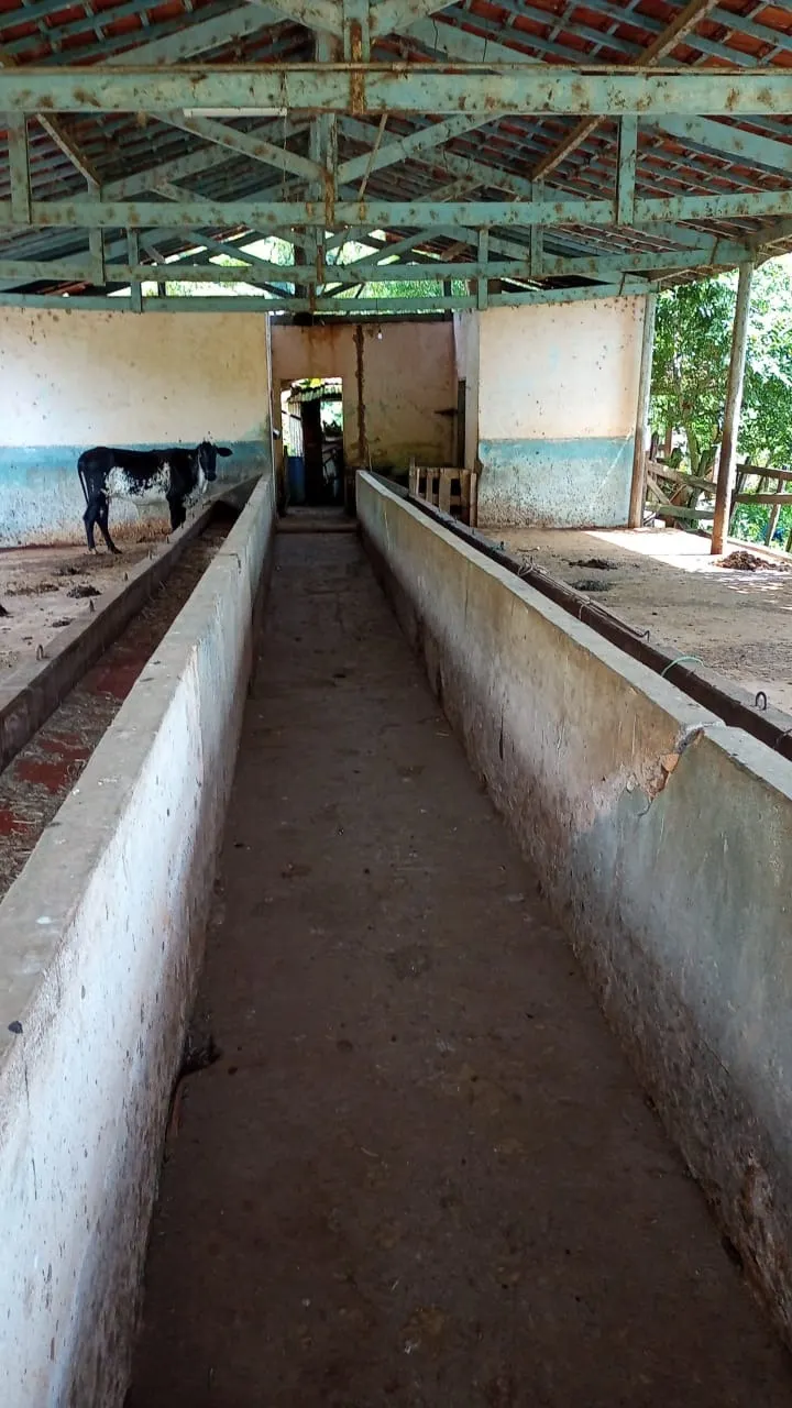 Small farm for sale of 30 acres in São José dos Campos, SP, Brazil