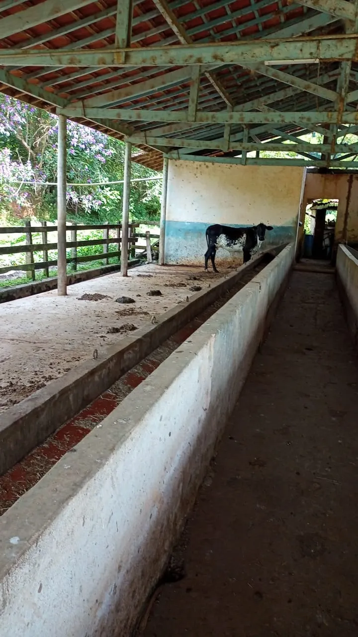 Small farm for sale of 30 acres in São José dos Campos, SP, Brazil