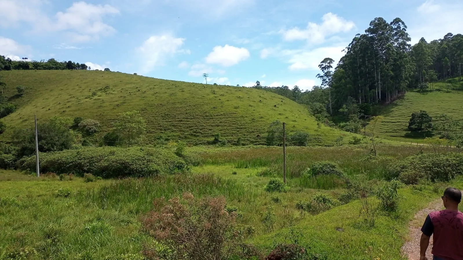 Small farm for sale of 30 acres in São José dos Campos, SP, Brazil