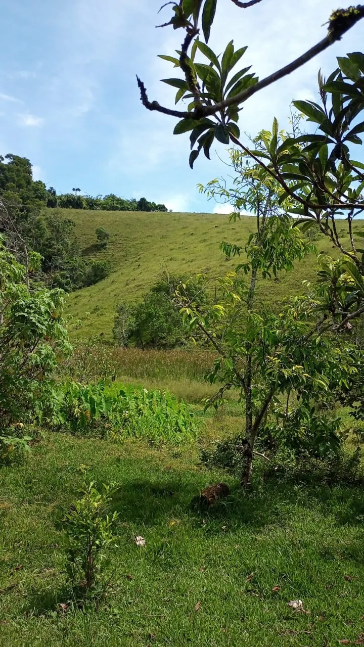 Small farm for sale of 30 acres in São José dos Campos, SP, Brazil