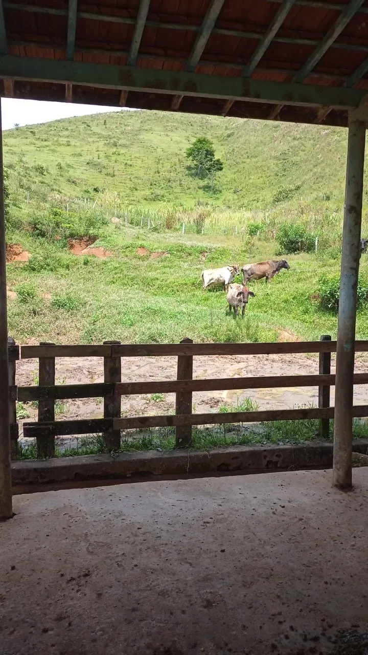 Small farm for sale of 30 acres in São José dos Campos, SP, Brazil