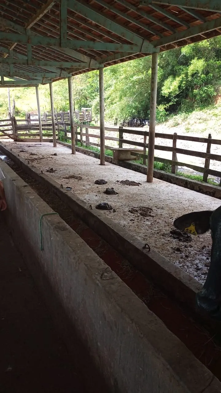 Small farm for sale of 30 acres in São José dos Campos, SP, Brazil