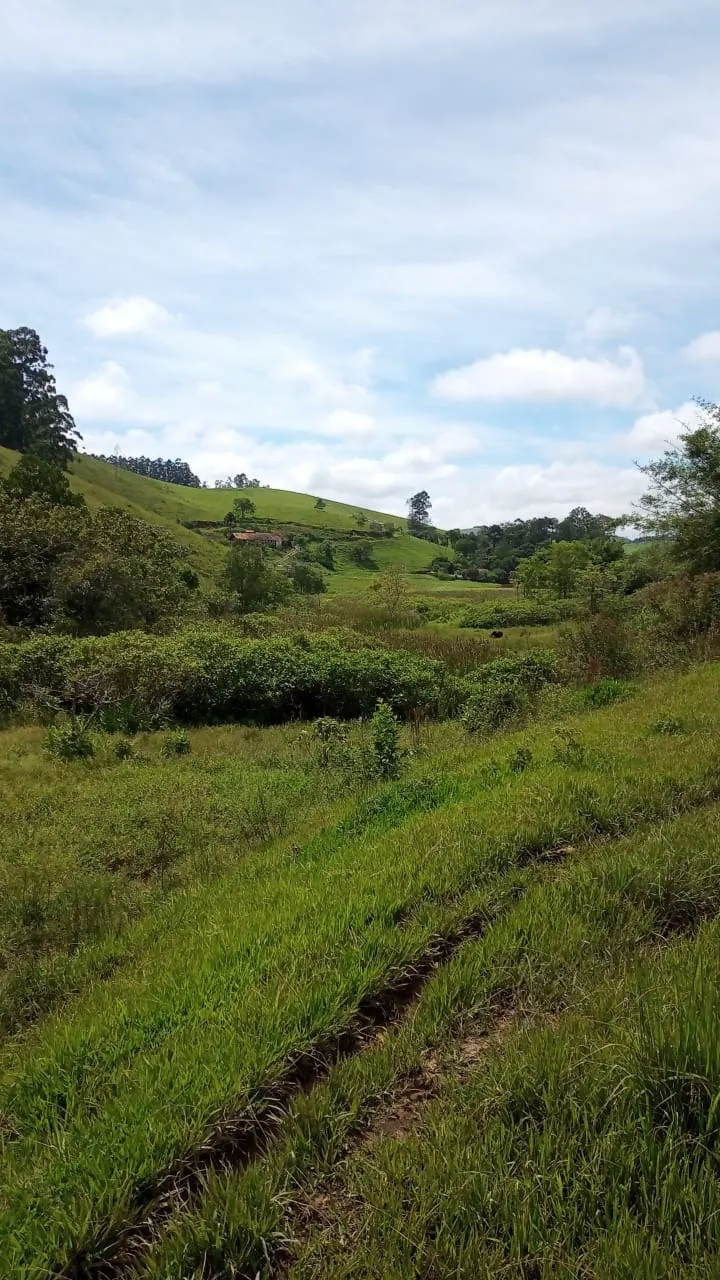 Small farm for sale of 30 acres in São José dos Campos, SP, Brazil