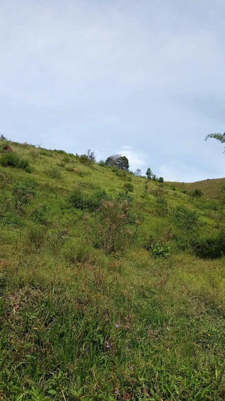 Small farm for sale of 30 acres in São José dos Campos, SP, Brazil