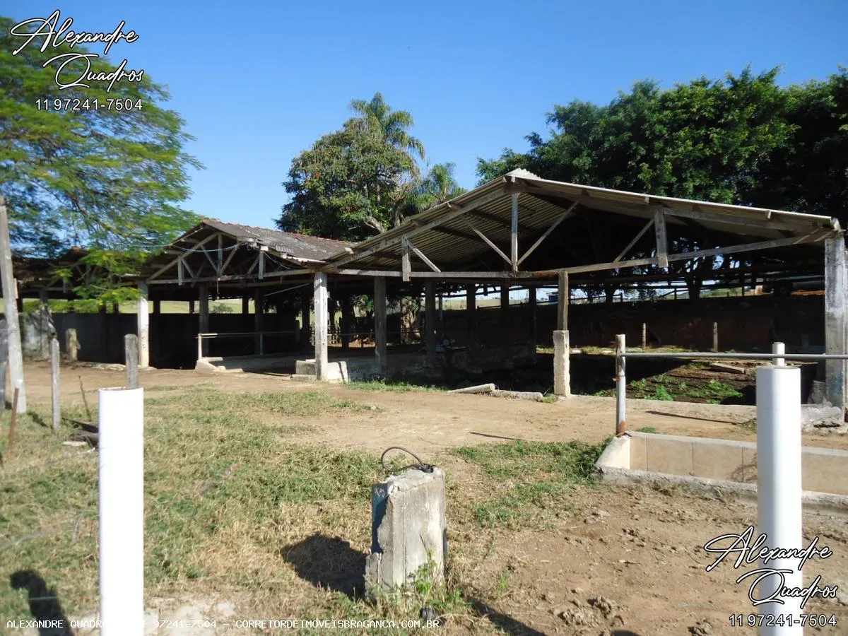 Fazenda à venda de 60 ha em Bragança Paulista, SP, Brasil