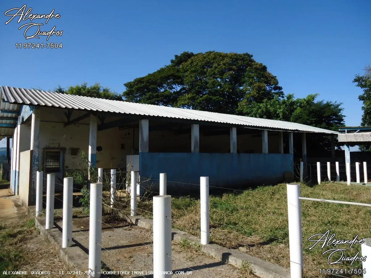Fazenda à venda de 60 ha em Bragança Paulista, SP, Brasil