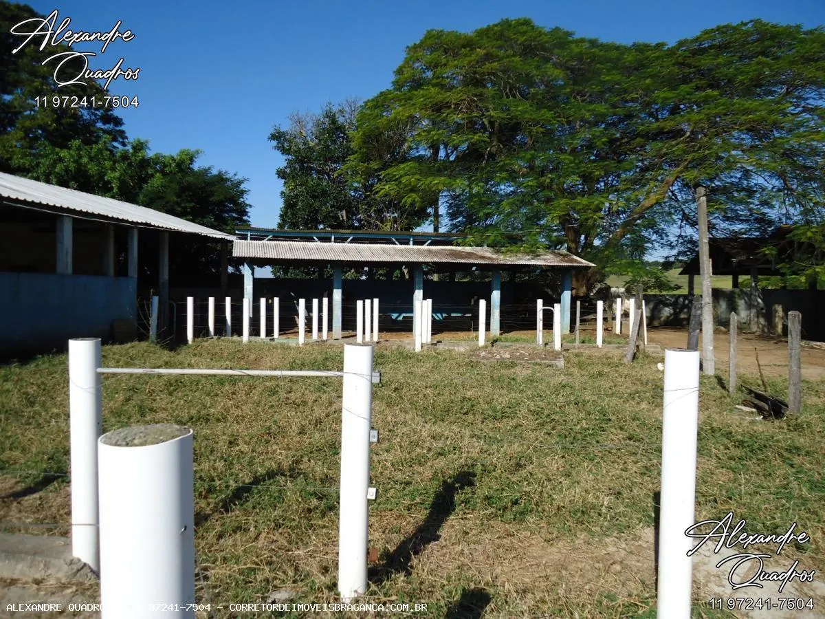 Fazenda à venda de 60 ha em Bragança Paulista, SP, Brasil