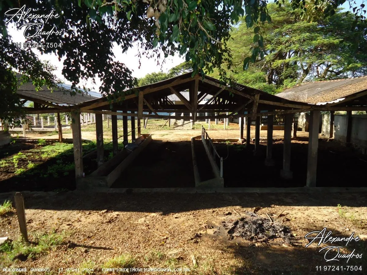 Fazenda à venda de 60 ha em Bragança Paulista, SP, Brasil
