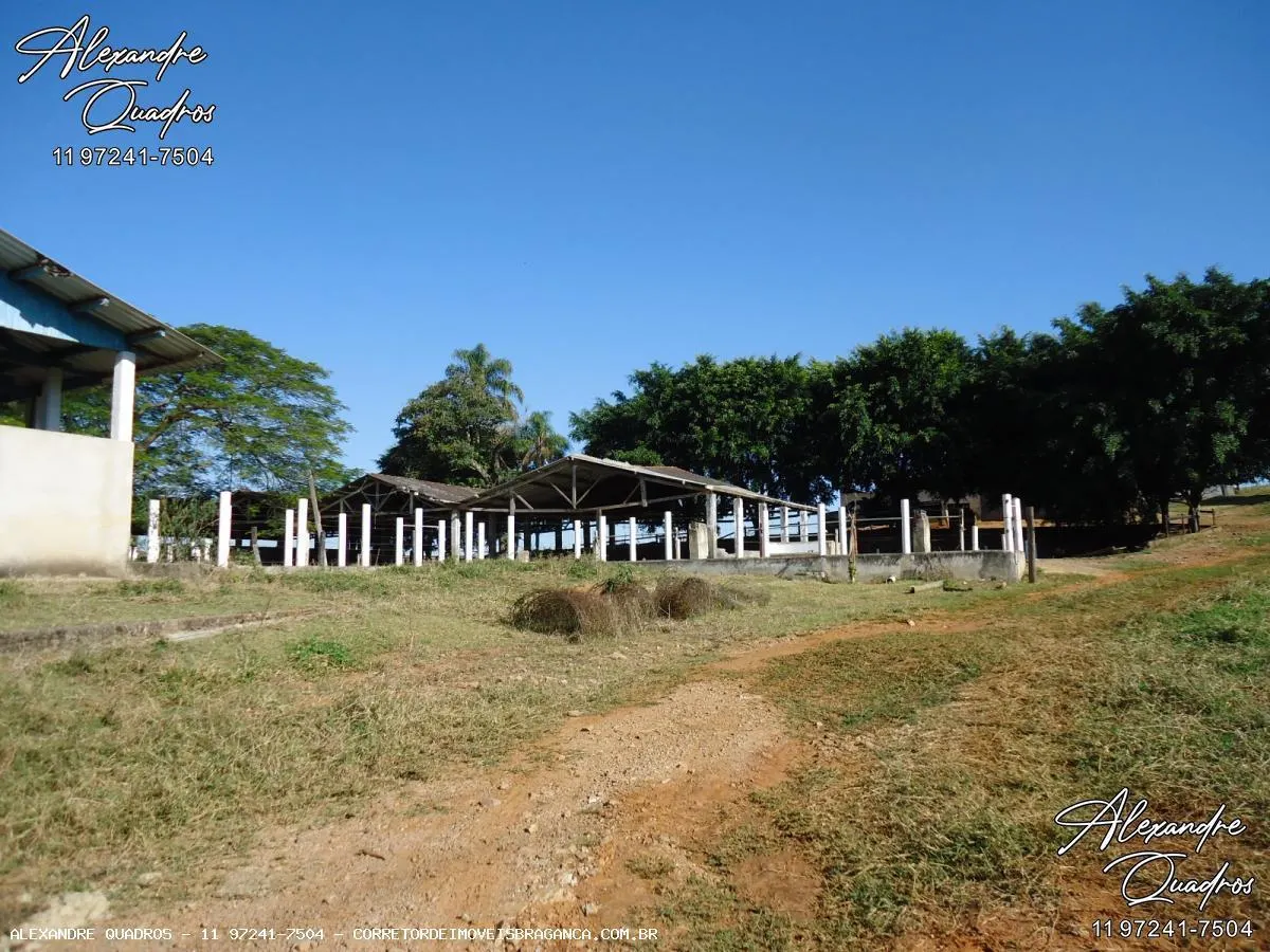 Fazenda à venda de 60 ha em Bragança Paulista, SP, Brasil