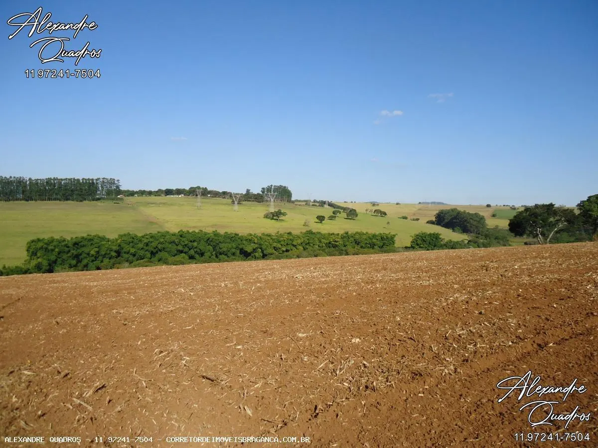 Fazenda à venda de 60 ha em Bragança Paulista, SP, Brasil