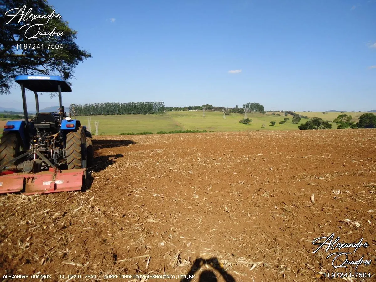 Fazenda à venda de 60 ha em Bragança Paulista, SP, Brasil