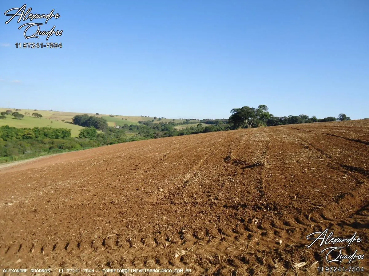 Fazenda à venda de 60 ha em Bragança Paulista, SP, Brasil