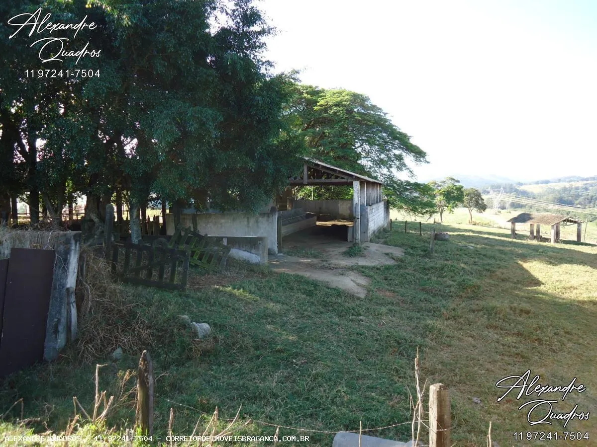 Fazenda à venda de 60 ha em Bragança Paulista, SP, Brasil