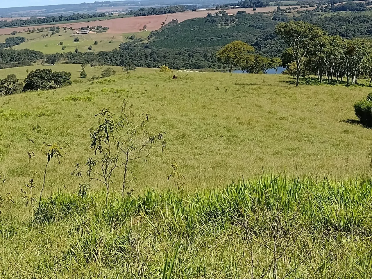 Fazenda à venda de 102 ha em Angatuba, SP, Brasil