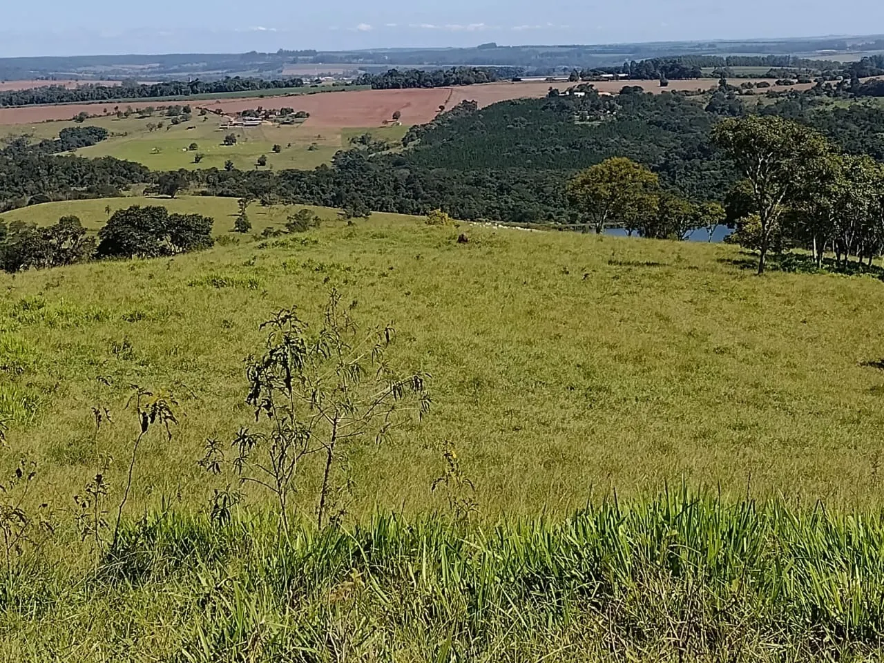 Fazenda à venda de 102 ha em Angatuba, SP, Brasil