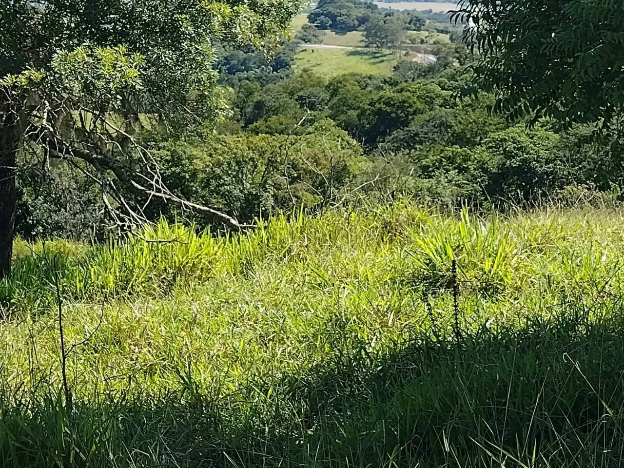 Fazenda à venda de 102 ha em Angatuba, SP, Brasil