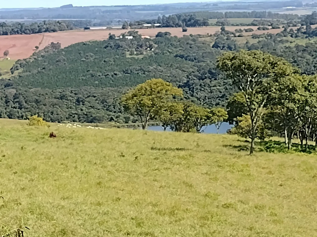 Fazenda à venda de 102 ha em Angatuba, SP, Brasil