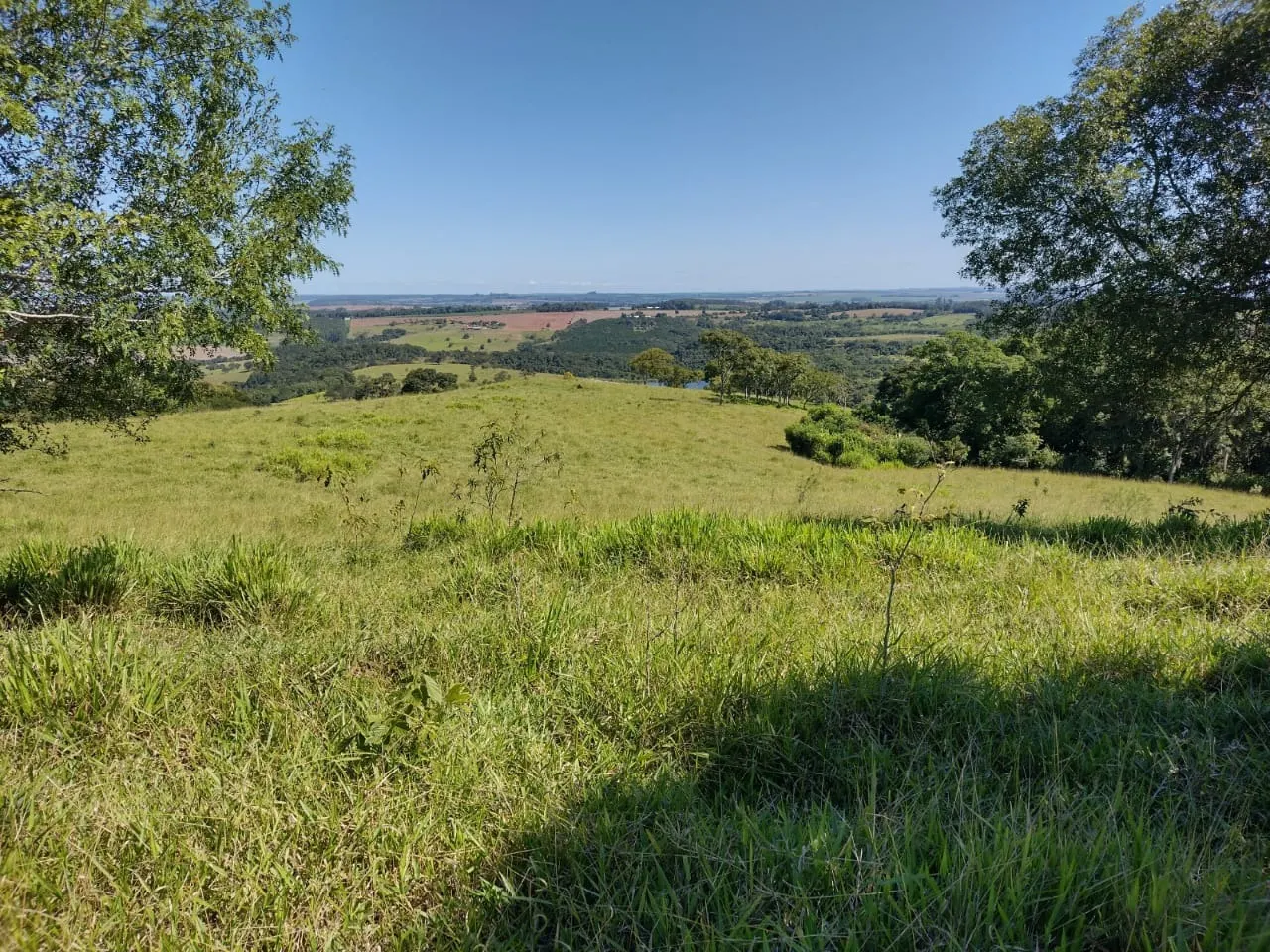 Fazenda à venda de 102 ha em Angatuba, SP, Brasil