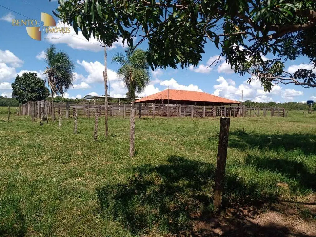Fazenda à venda de 635 ha em Nova Xavantina, MT, Brasil