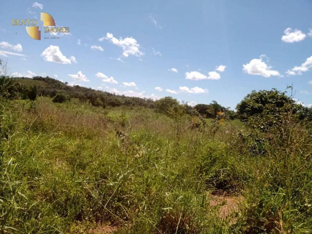 Fazenda à venda de 635 ha em Nova Xavantina, MT, Brasil
