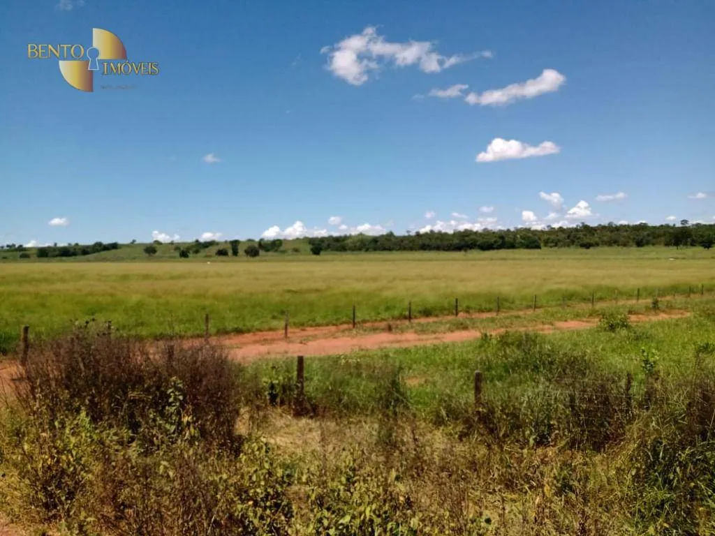 Fazenda à venda de 635 ha em Nova Xavantina, MT, Brasil