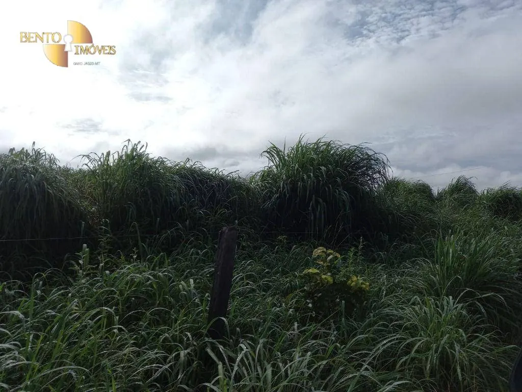 Fazenda à venda de 635 ha em Nova Xavantina, MT, Brasil
